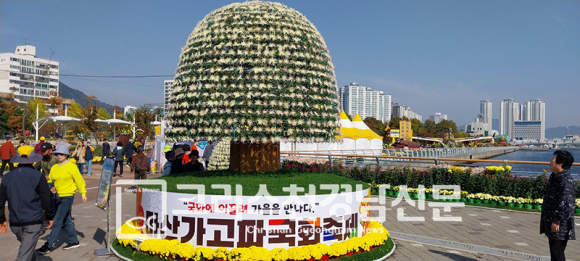 천향여심- 일천개의 국화꽃을 한 가지에 피운 국화. 마산가고파국화축제의 명물이다.